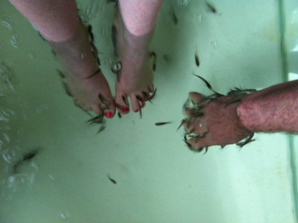 Wellness-Fische knabbern Hornhaut ab VONRESORT Golden Coast