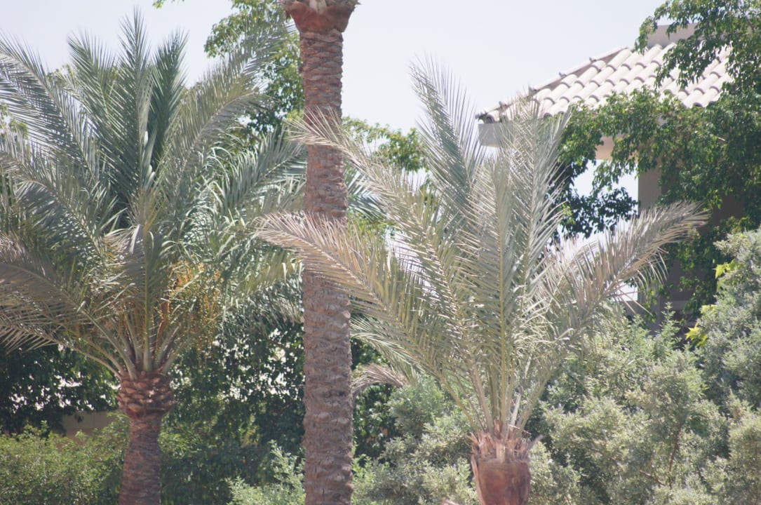 Aqua Sindbad Club