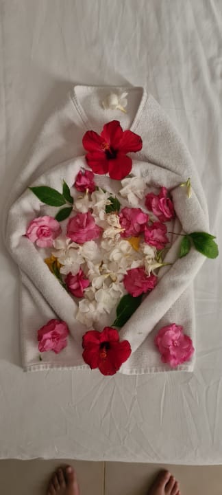 Zimmer Hotel Club Tropicana & Spa