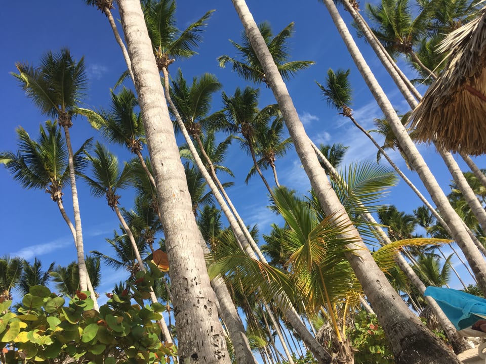Ausblick Bahia Principe Luxury Bouganville