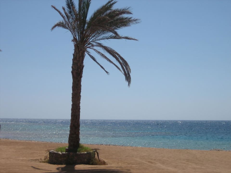 Strand/Riff Hotel Coral Garden