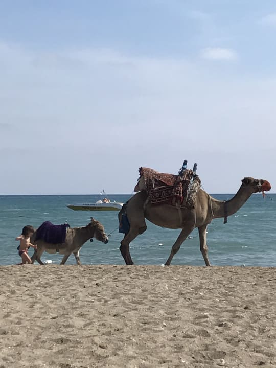 Strand Aydinbey Famous Resort