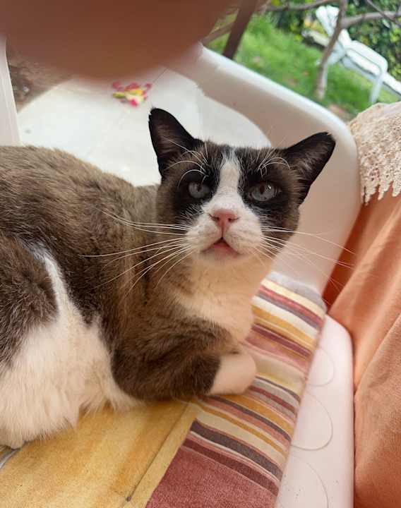 Außenansicht Suites & Villas by Dunas