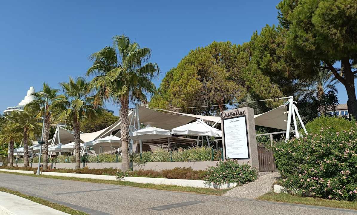 Gastro PALOMA Perissia