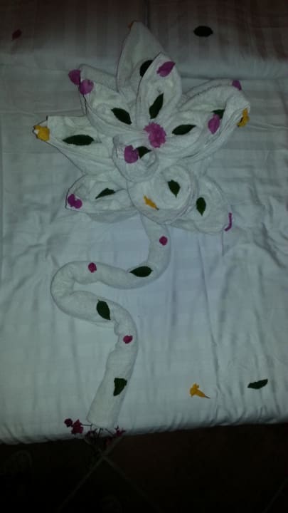 Décors Three Corners Sea Beach Resort