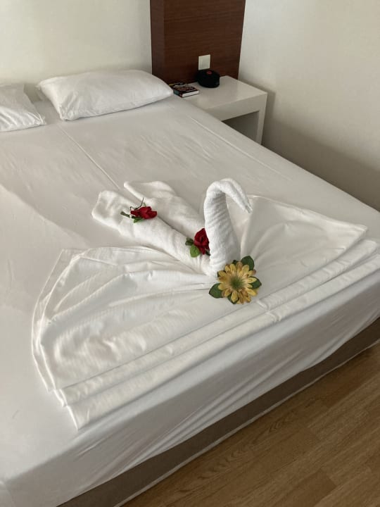 Zimmer Seaden Sea World Resort & Spa