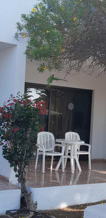 Sonstiges Relaxia Olivina