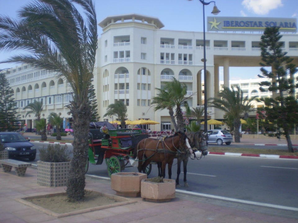 Bild von Strandseite Medina Solaria & Thalasso