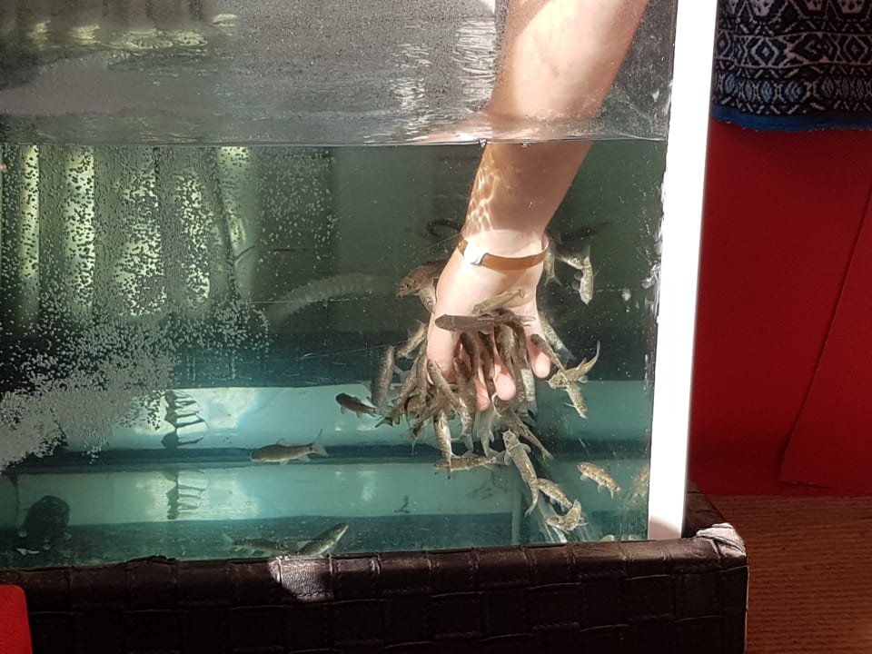 Sport & Freizeit Djerba Sun Beach Hotel & Spa