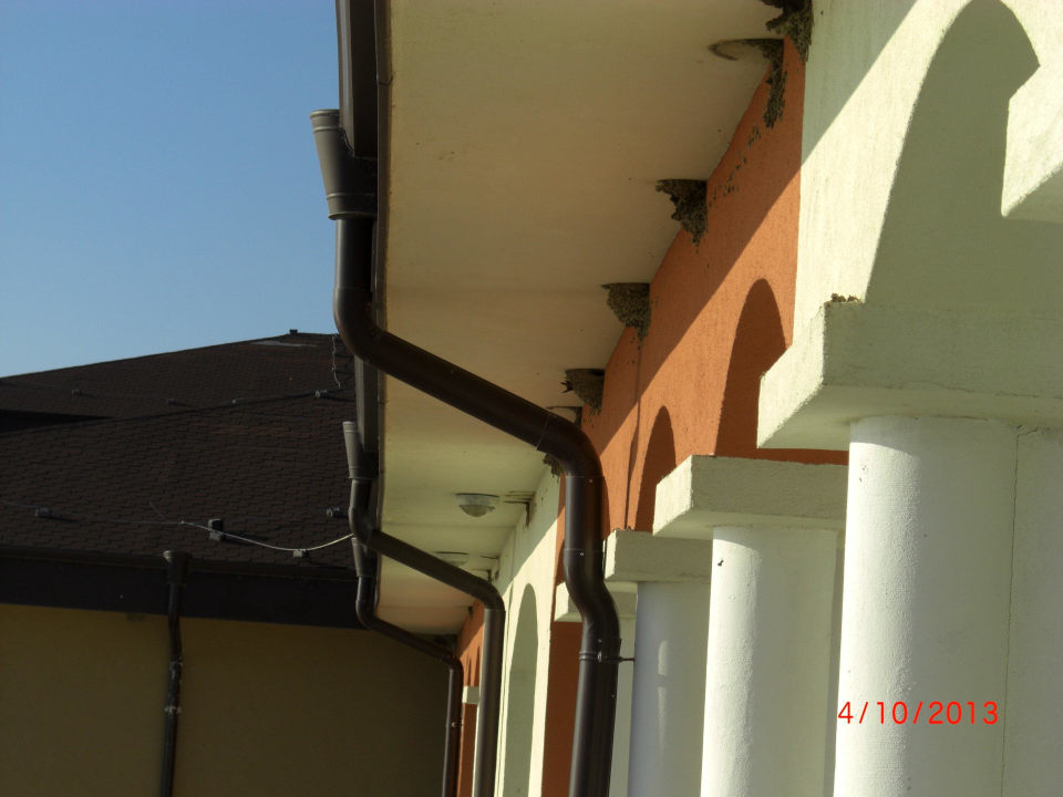 Die tollen Schwalbennester.  Sol Luna Bay