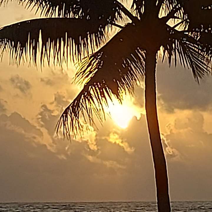 Ausblick Earl’s Reef Beruwala