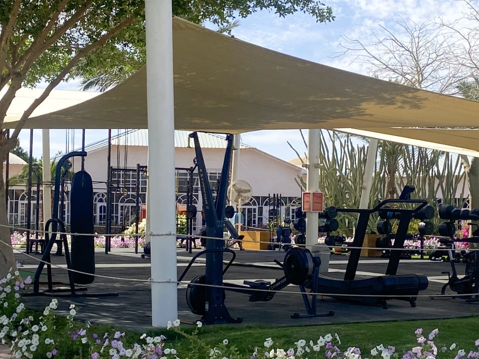 Sport & Freizeit Desert Rose