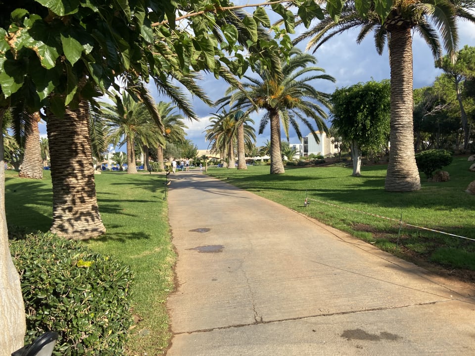 Gartenanlage Anissa Beach & Village