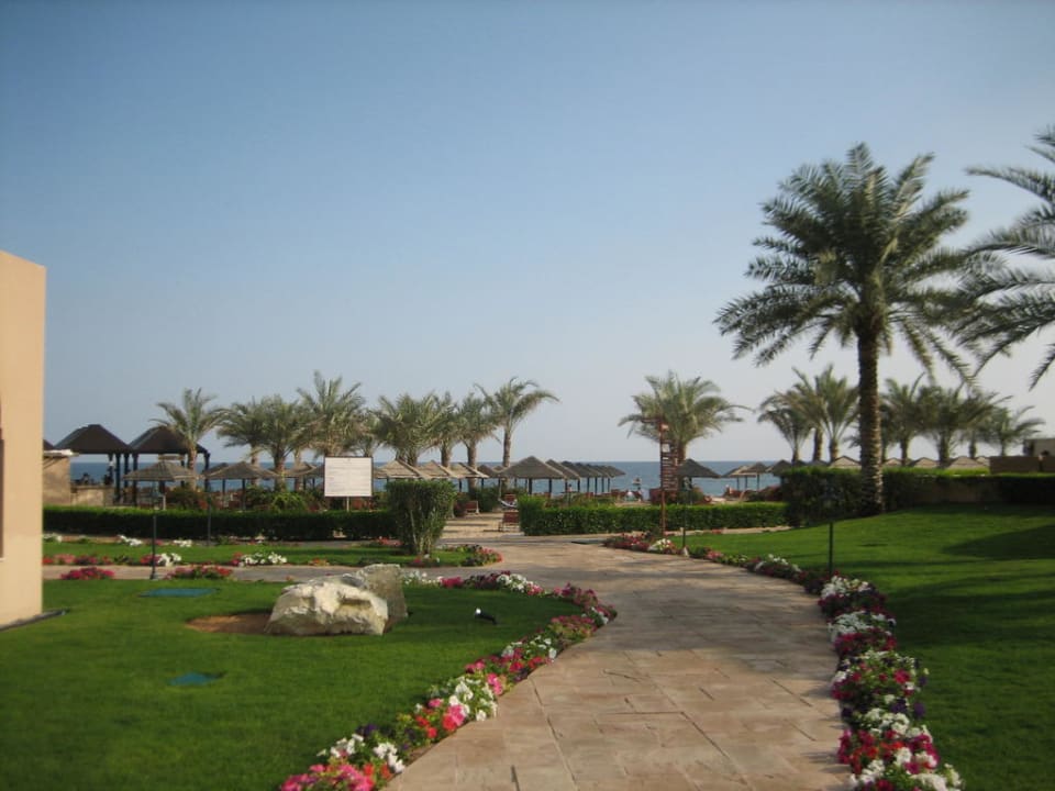 Weg zum Strand Miramar Al Aqah Beach Resort