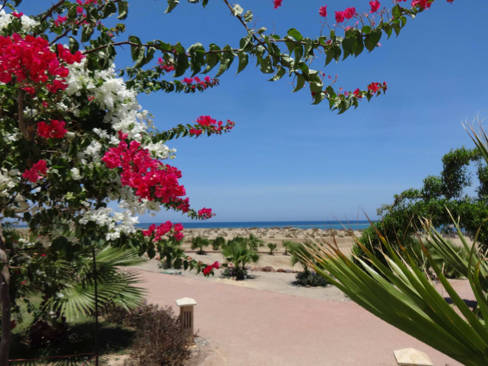Strandpromenade Lahami Bay Beach Resort