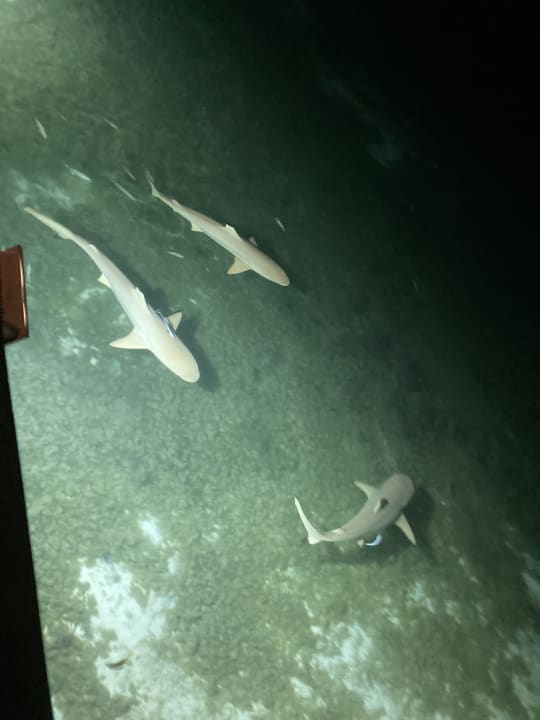 Sport & Freizeit Adaaran Select Hudhuran Fushi - Premium All Inclusive