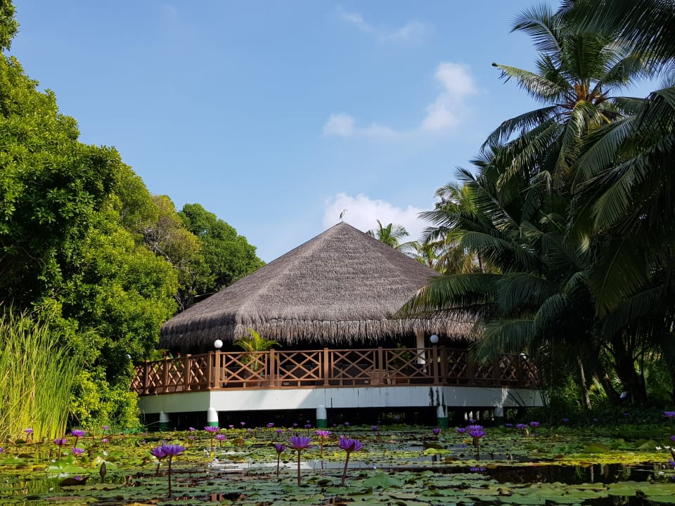 Sonstiges Dreamland The Unique Sea & Lake Resort / Spa
