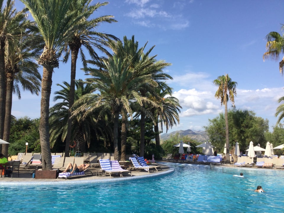 Pool PortBlue Club Pollentia Resort & Spa