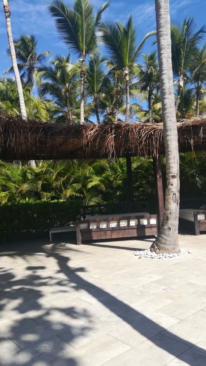 Gartenanlage Grand Palladium Select Bávaro Resort & Spa