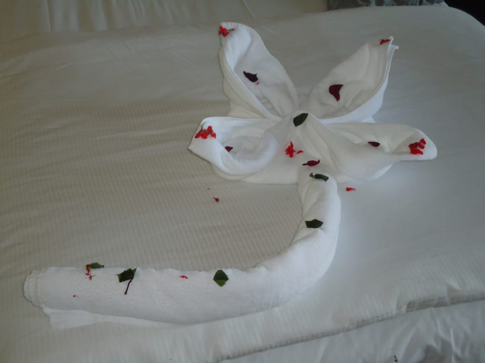 Zimmer Pickalbatros White Beach Resort - Hurghada