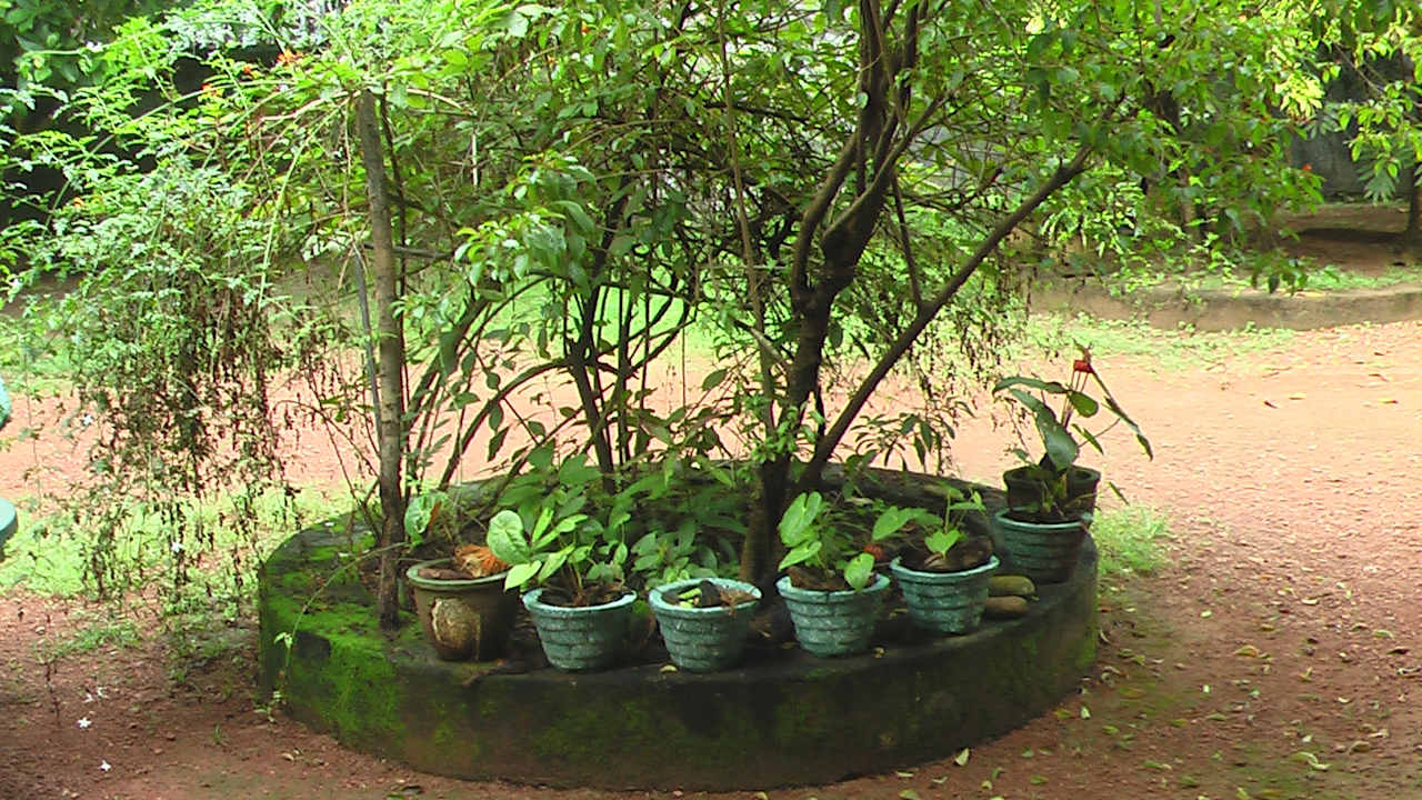 Außenansicht Sunshine Guesthouse