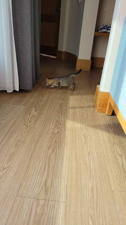 Zimmer Limak Limra Hotel & Resort