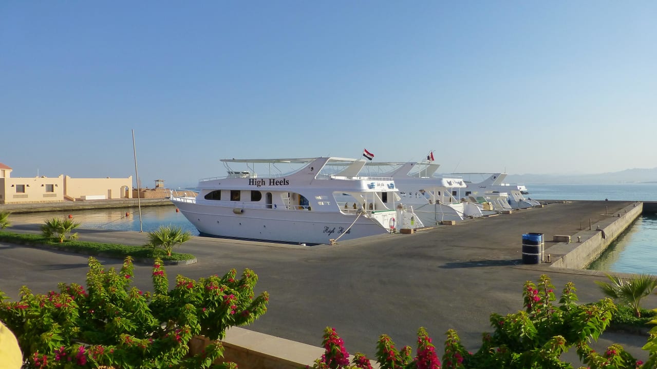 Soma Bay Marina The Breakers Diving & Surfing Lodge