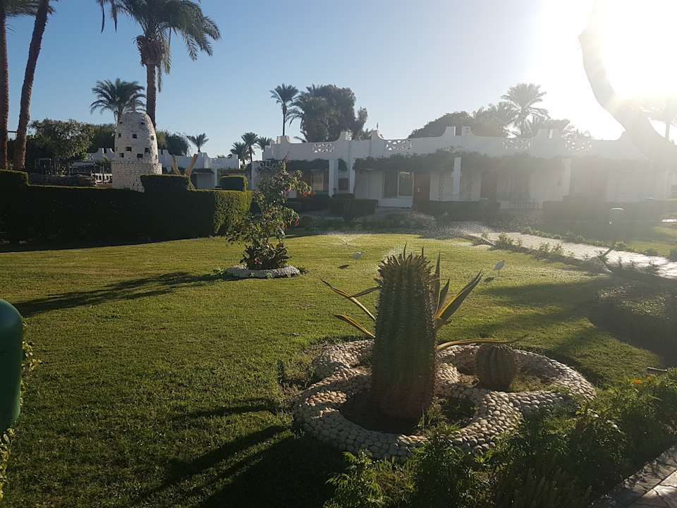 Zimmer Shams Safaga Resort