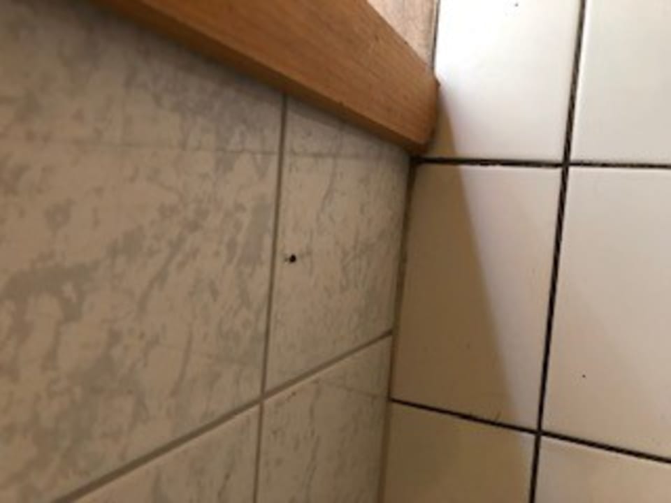 Zimmer Motel Stralsund