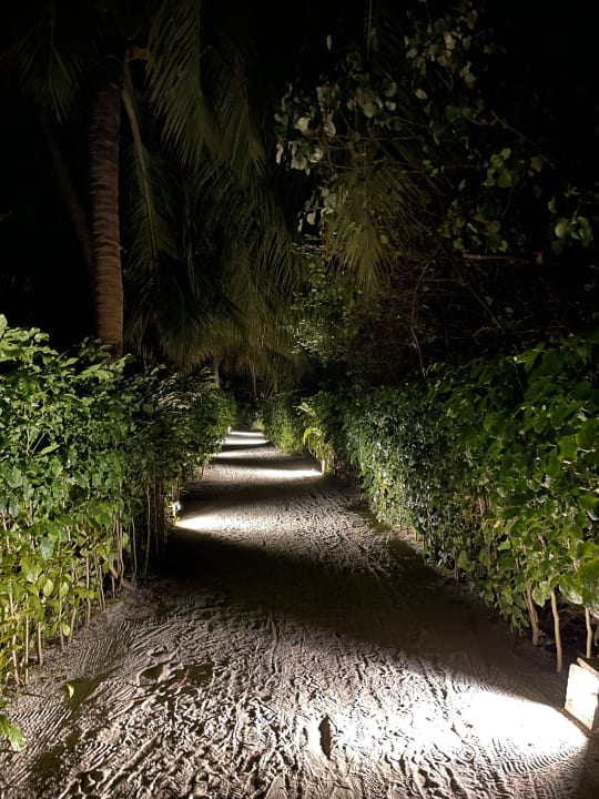 Gartenanlage Reethi Faru Resort