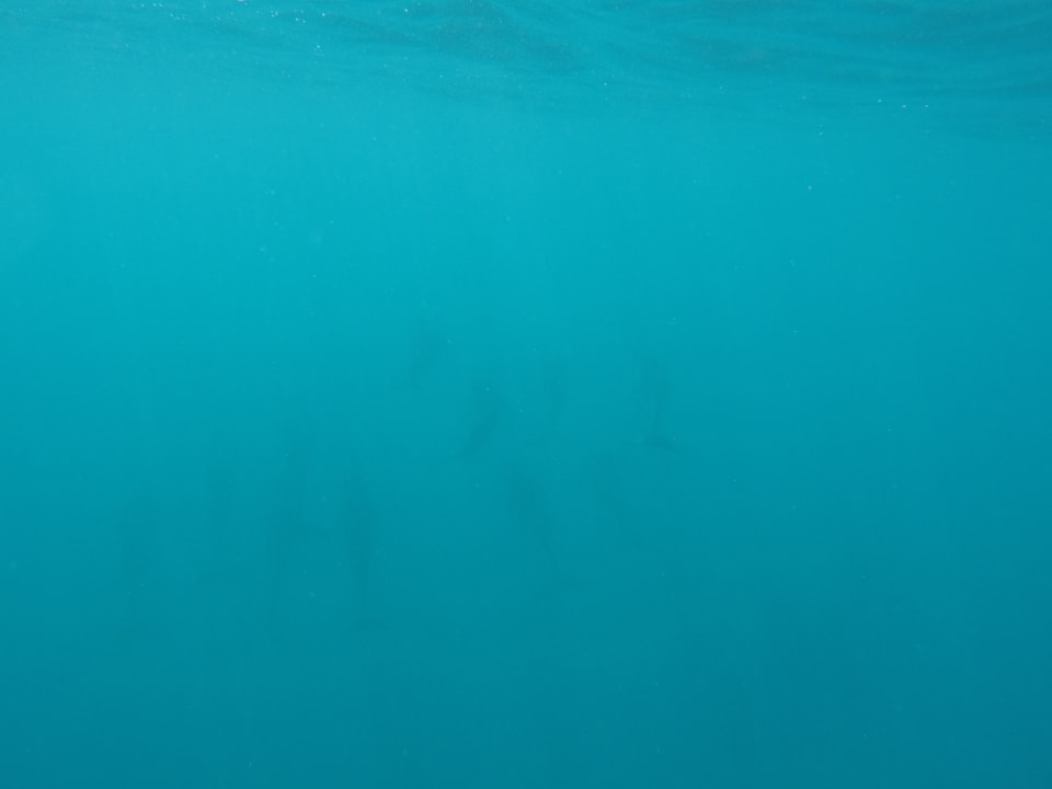 Delphine  OZEN LIFE MAADHOO