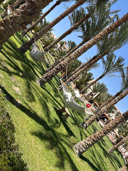 Gartenanlage Fort Arabesque - The West Bay
