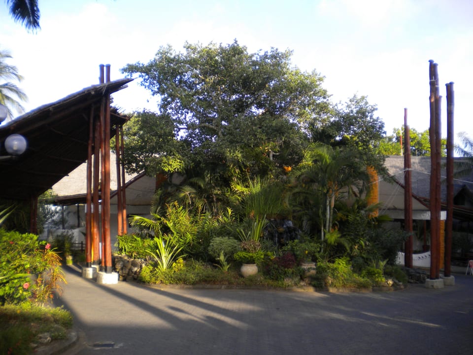 Zufahrt Hotel Southern Palms Beach Resort