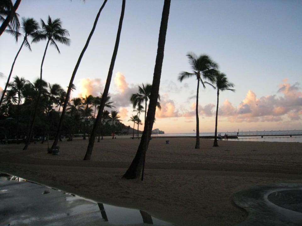 Hotelstrand im Morgengrauen Hilton Hawaiian Village Waikiki Beach Resort