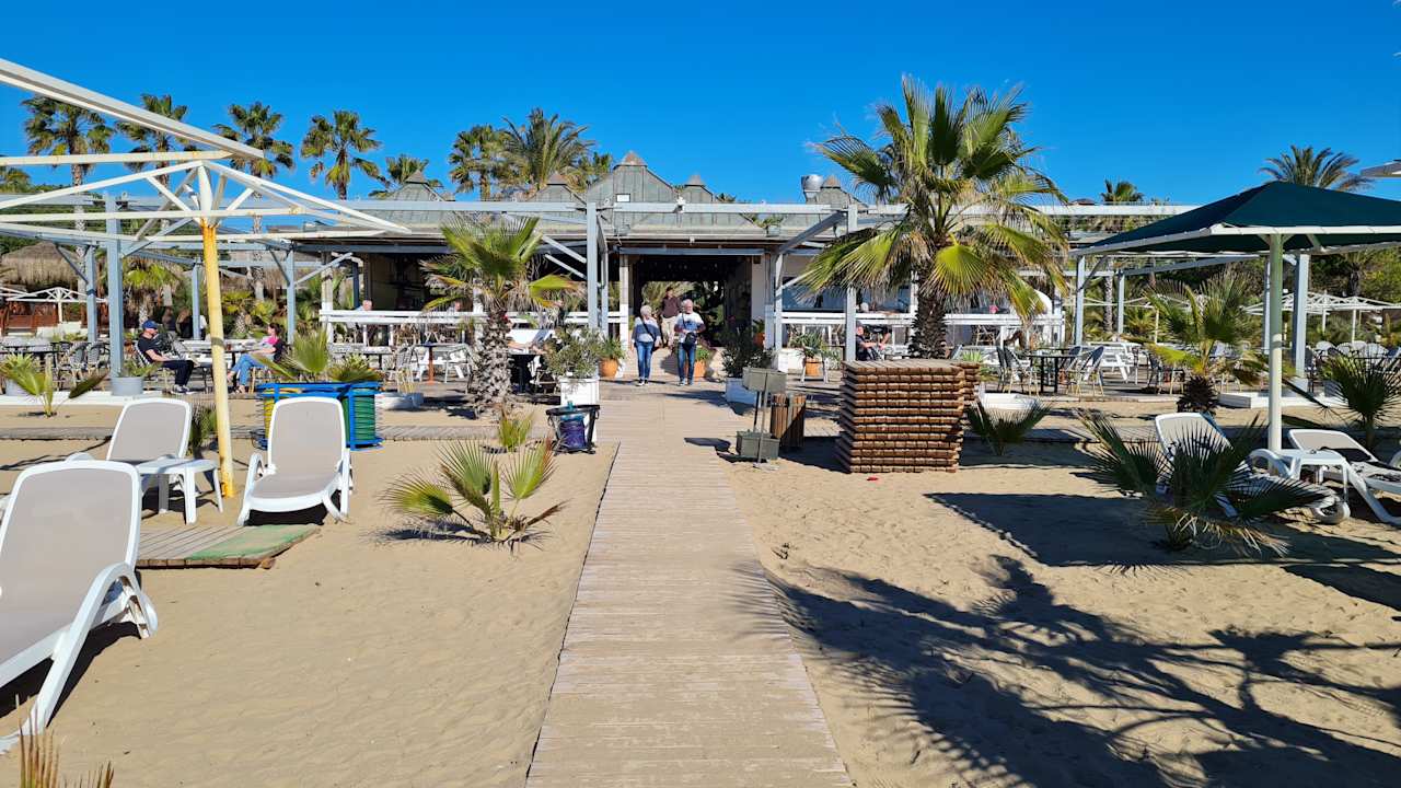 Gastro Paloma Oceana