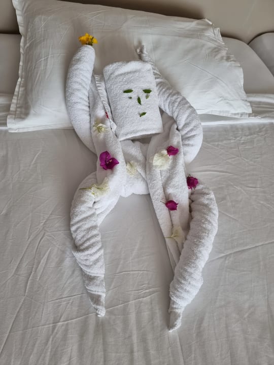 Zimmer Steigenberger Makadi Hotel - Adults only