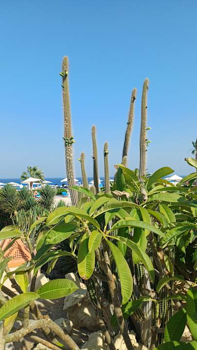 Strand Akassia Swiss Resort