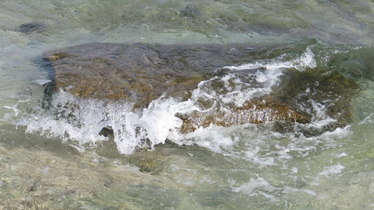 Selbst erklärend Coral Hills Resorts & SPA