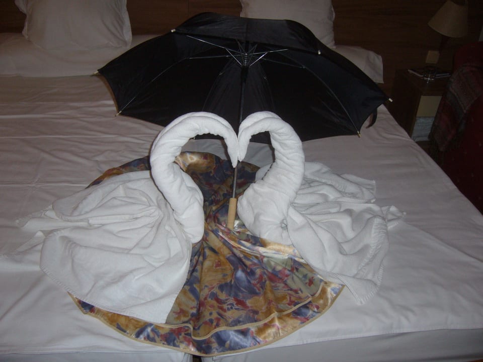 Schwanensee im Zimmer   GRIFID Encanto Beach