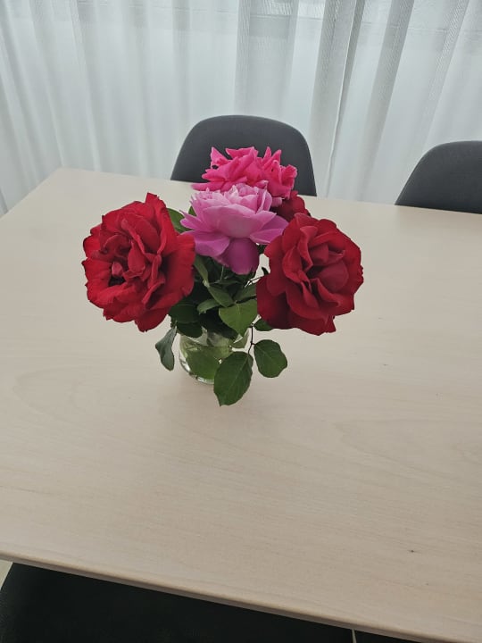 Zimmer Belvedere Apartments & Spa