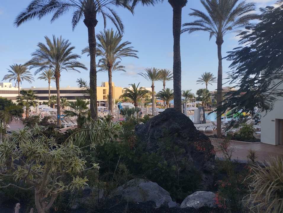 Gartenanlage Iberostar Waves Gaviotas Park