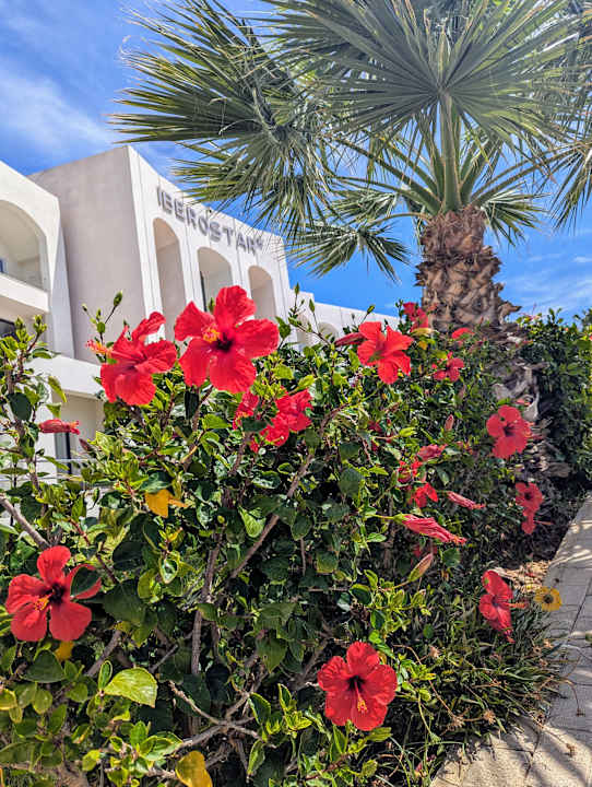 Außenansicht Iberostar Selection Kuriat Palace