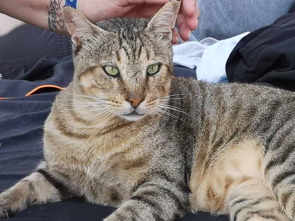 Sonstiges Pickalbatros Alf Leila Wa Leila Resort - Neverland Hurghada