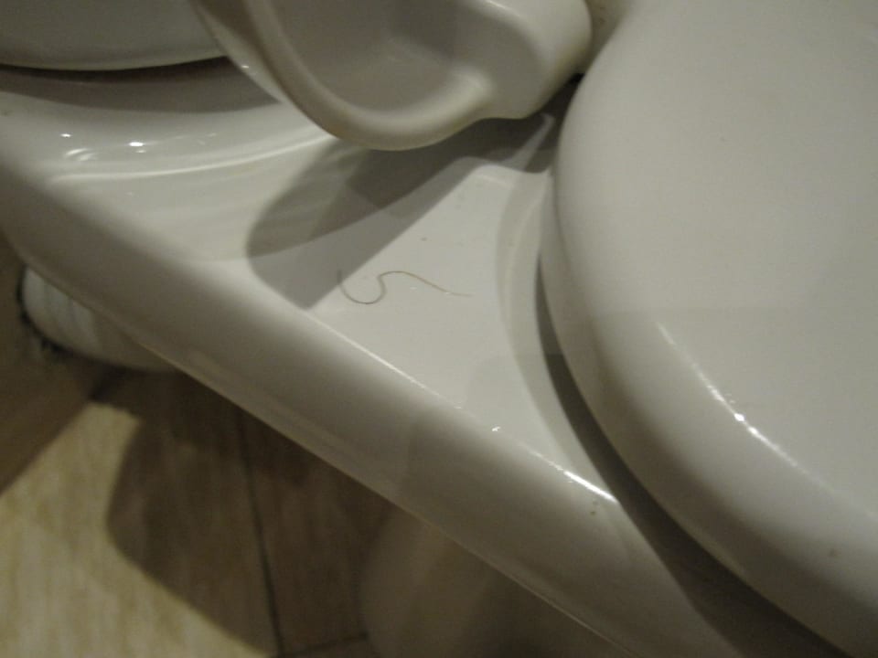 Toilette Hotel Cazablanka / Casablanca