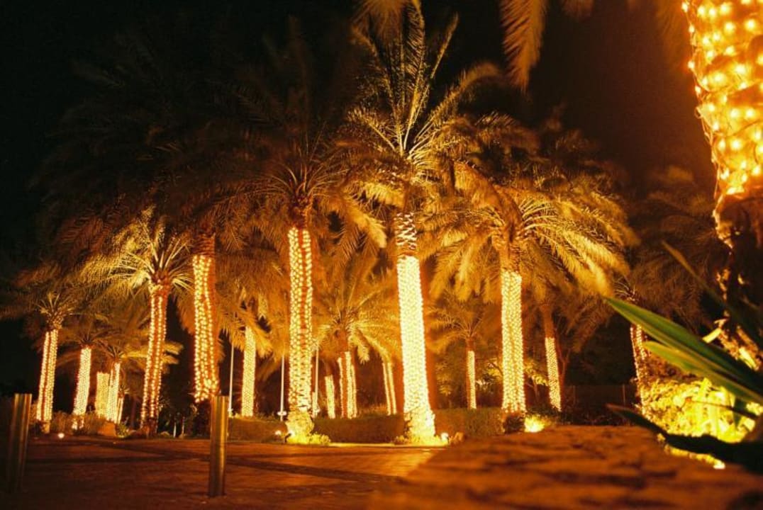 Palm Tree Court JA Beach Hotel