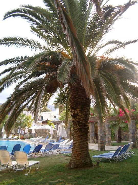 Hotel Calimera Sirens Beach