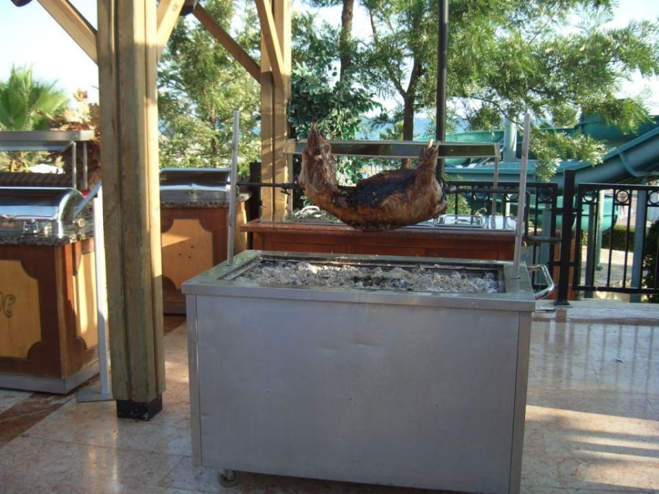 Ein lecker Tier Papillon Belvil