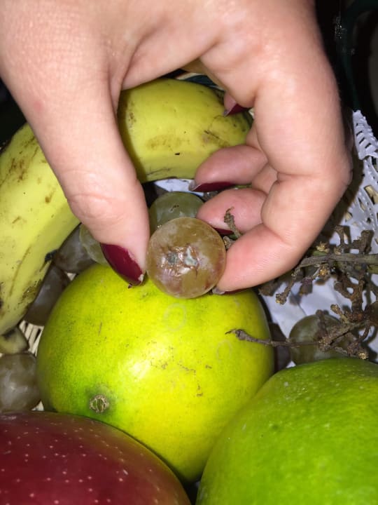 Schimmeliges Obst Arabia Azur Resort