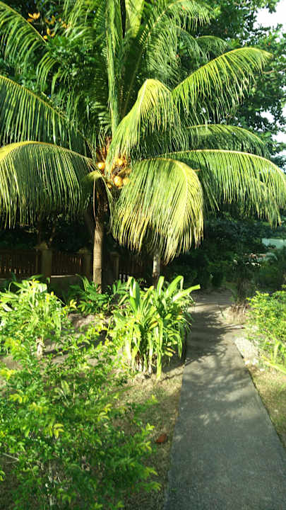 Gartenanlage Hostel la Digue