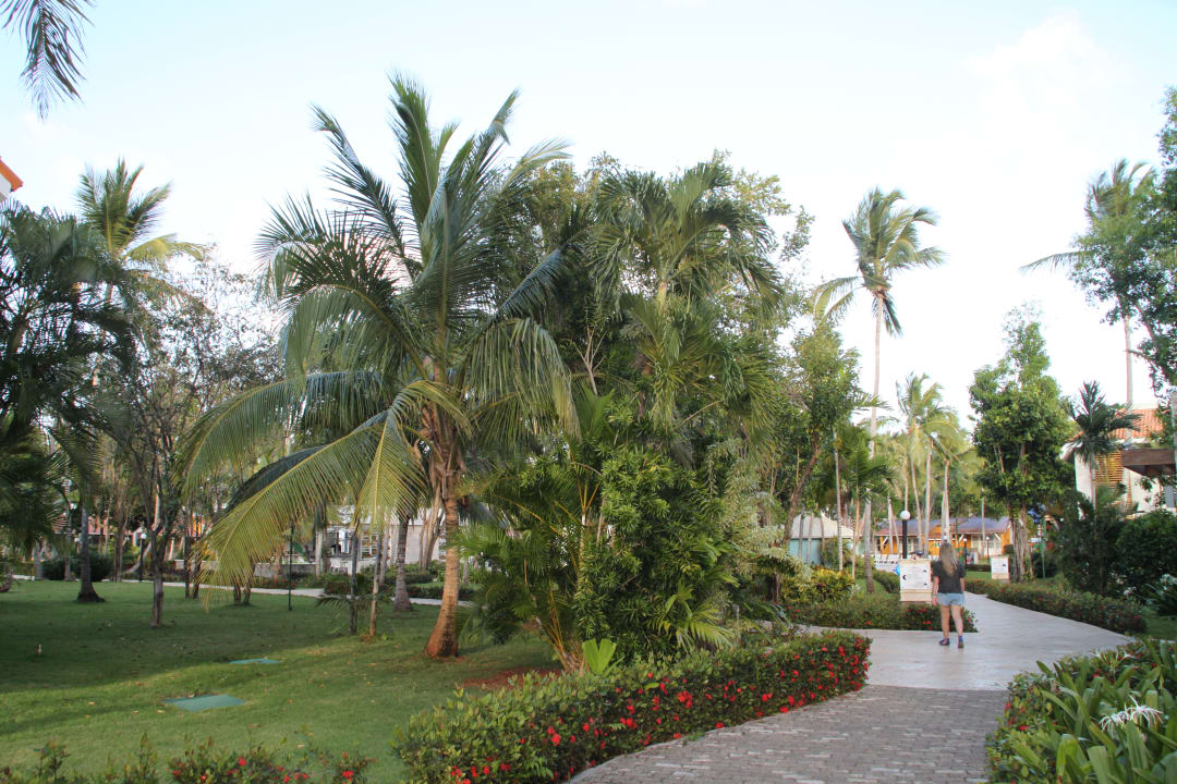 Gartenanlage Wyndham Alltra Samana